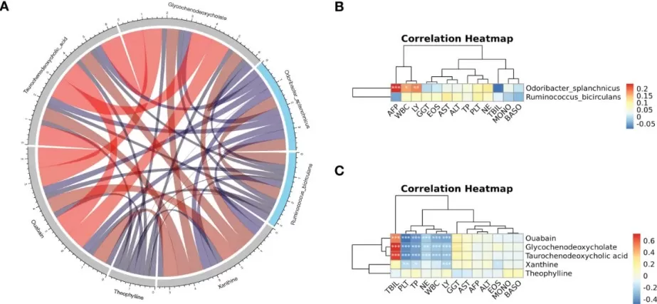 Integrated Correlation Analysis of Metabolites, Microbiota, and Clinical Traits